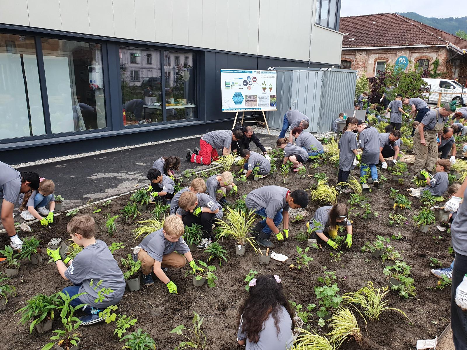 MOSA outdoor science activities