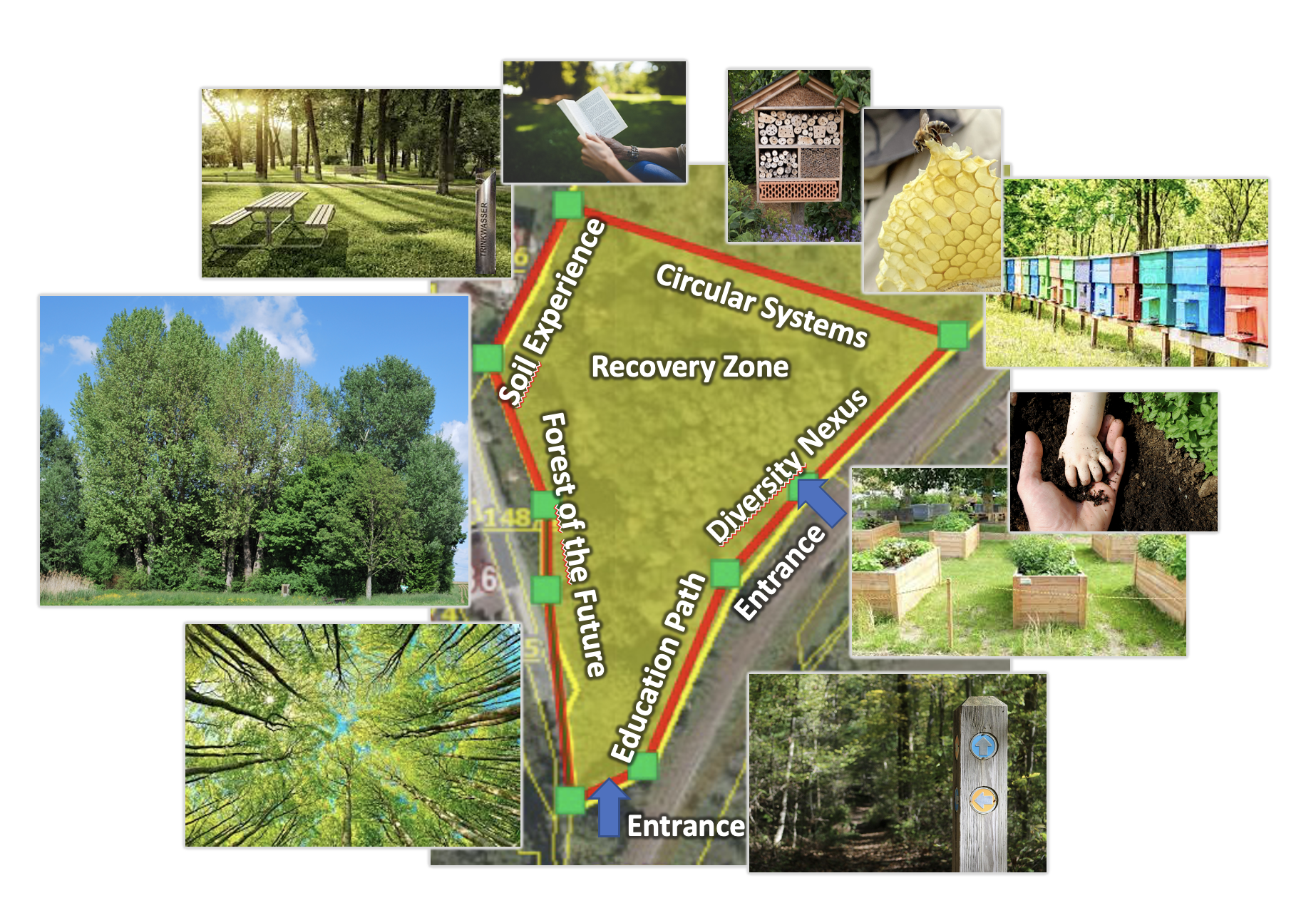 SAFE transdisciplinary overview